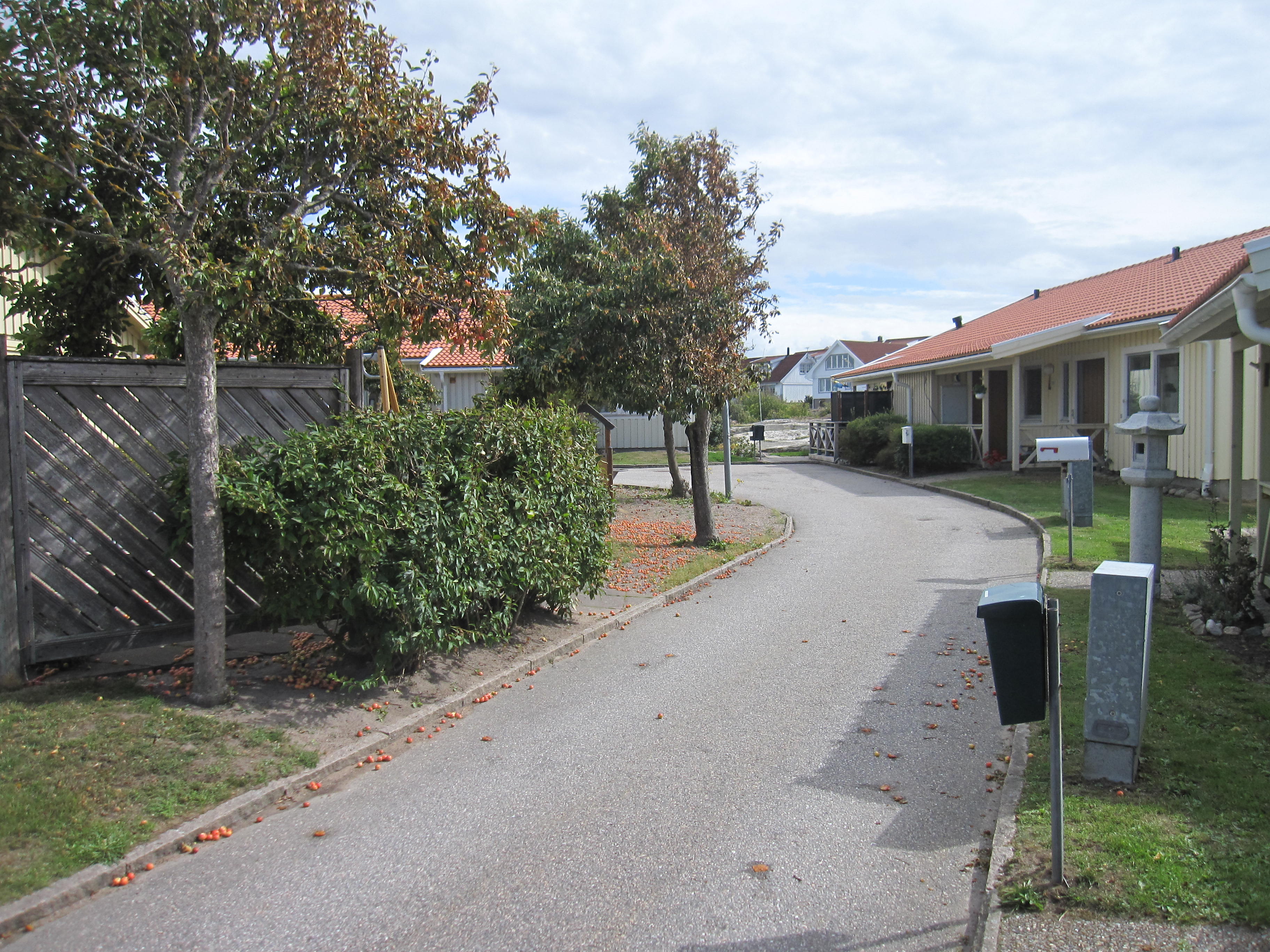 Björkemyrsgatan 7 B, 456 50, SMÖGEN