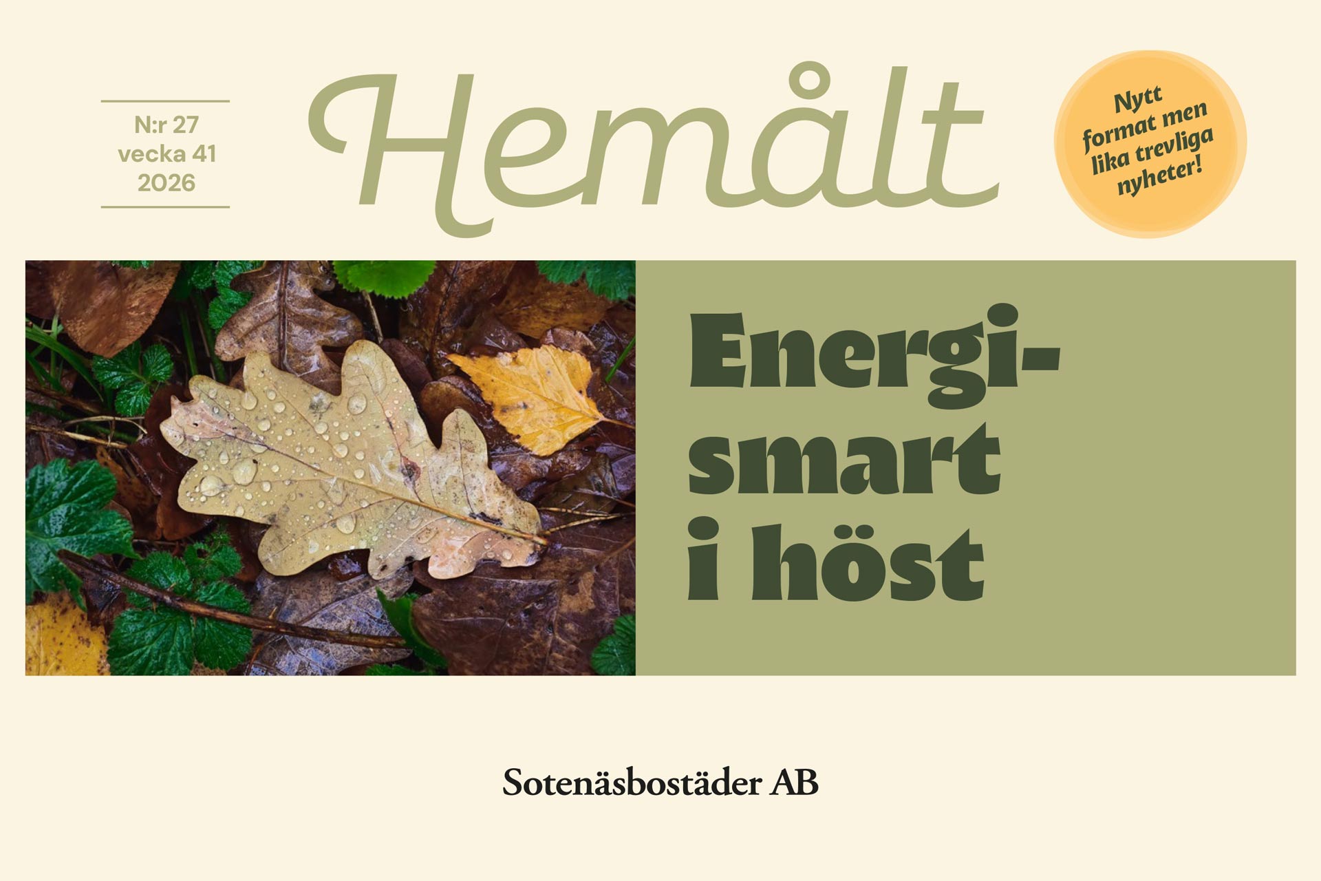 Nyhetsbrev nr 27, vecka 41, 2026, puff