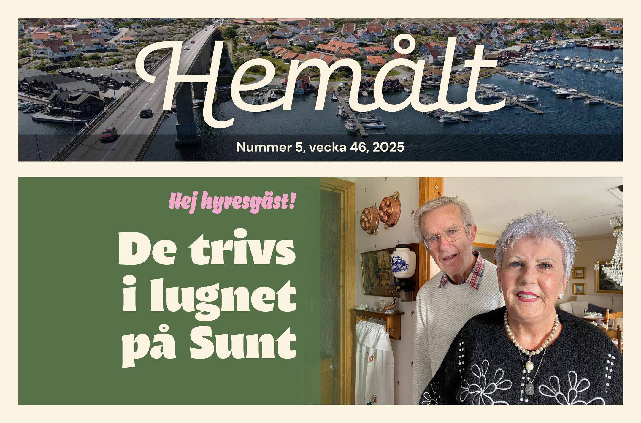 Nyhetsbrev nr 5 vecka 46 2025, puff