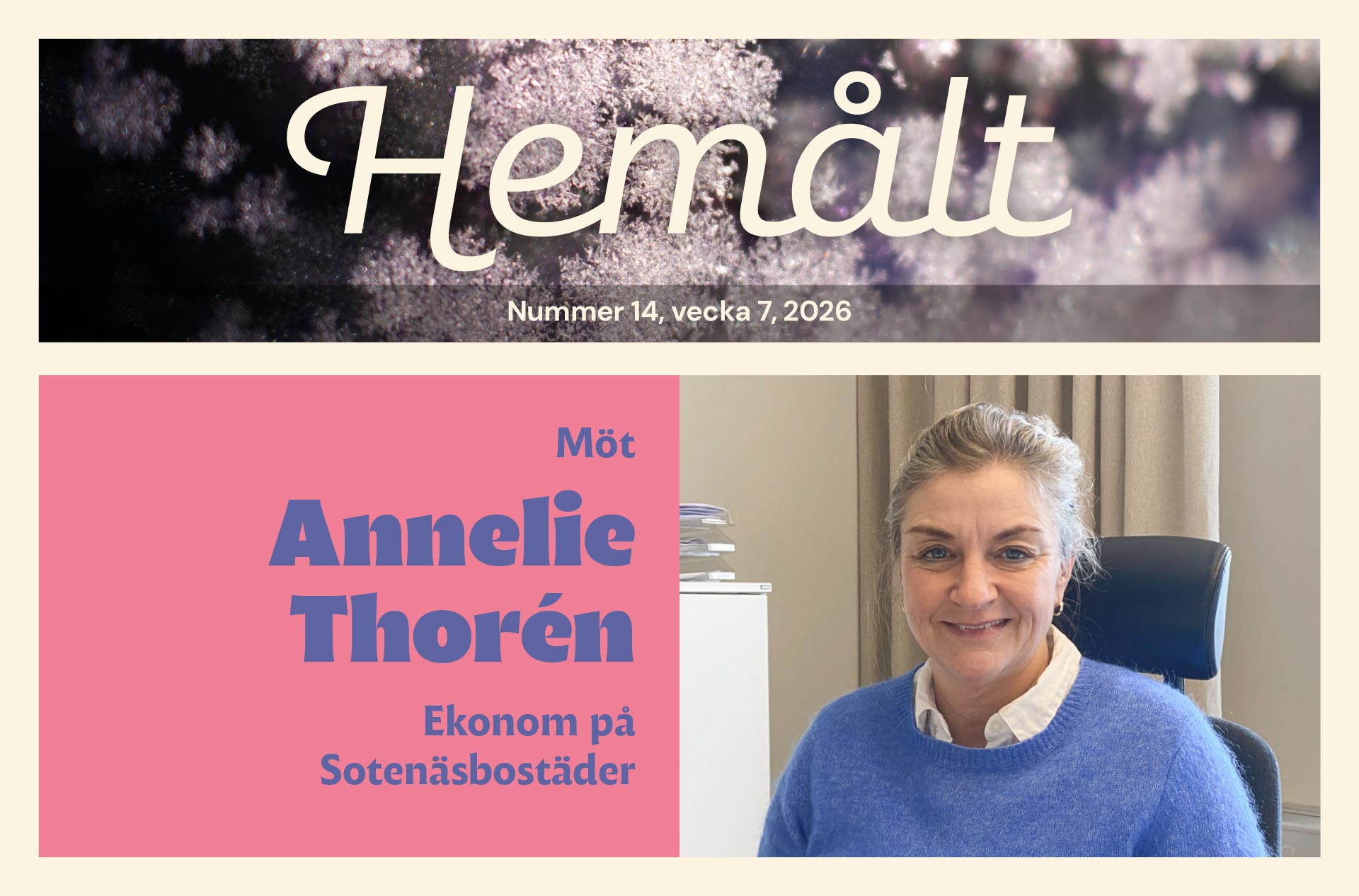 Nyhetsbrev nr 14 vecka 7 2026, puff