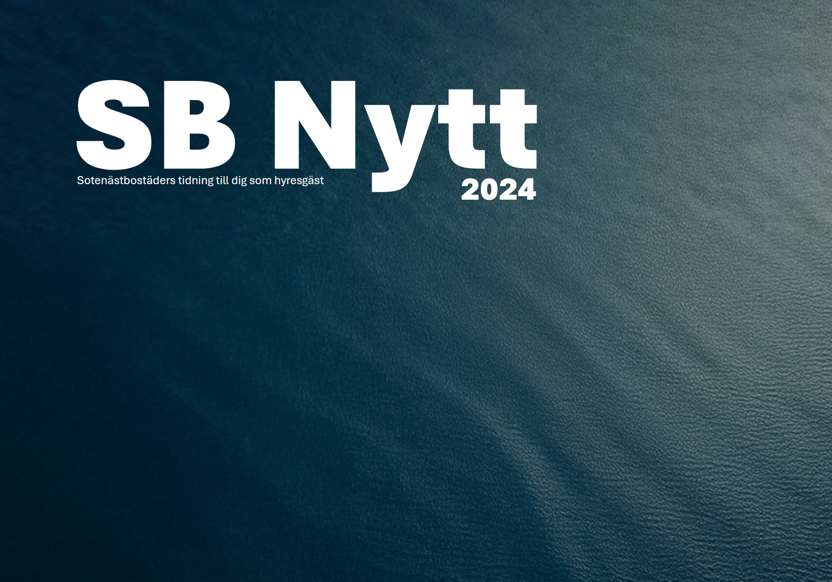 Bildtext saknas