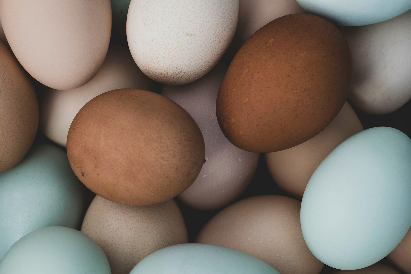 ägg i olika färger